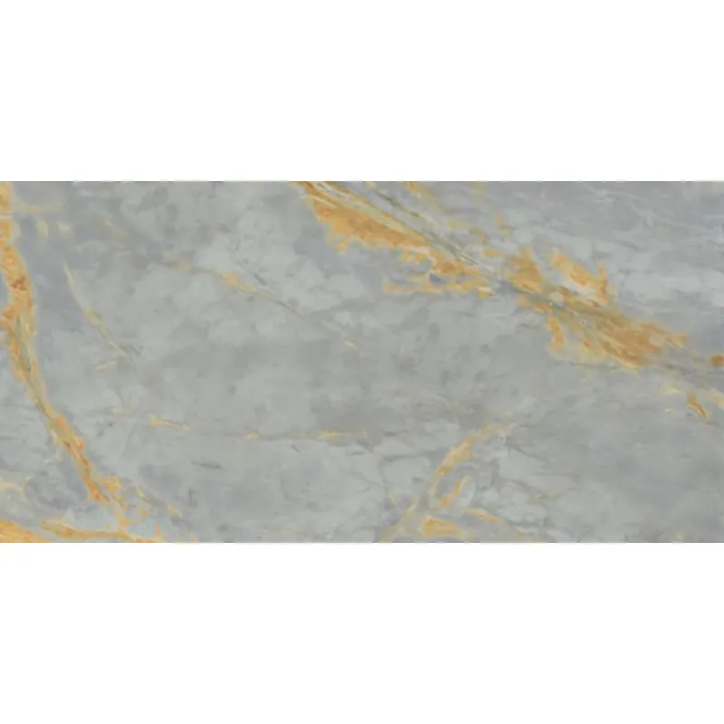 Laatste Versie Abk Imoker Signoria PF60009119 Vloertegel 600X1200 Grigio Siena 8,5mm Glans Ret.