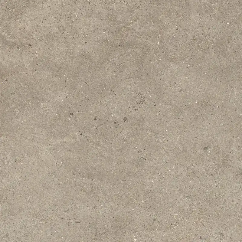 Fossil Taupe Meest Verkocht