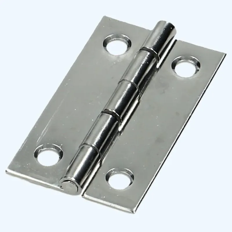 Smalscharnier RVS 30 x 50 mm bestellen Express Levering
