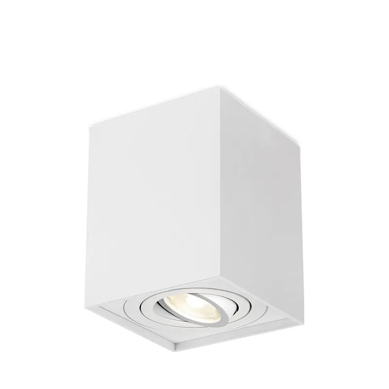 Gecertificeerd Braytron Gama 8011 LED Lamp Opbouw - IP20 - 1xGU10 - Vierkant - Wit