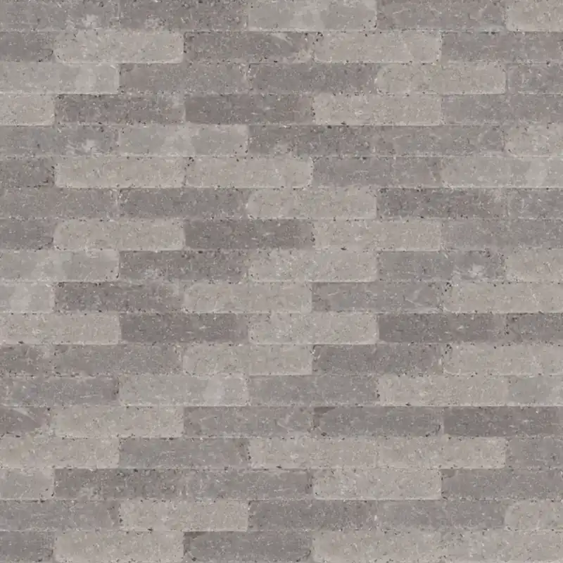 Direct Beschikbaar Abbeystones Getrommeld Pomposa 20x5x7 waalformaat