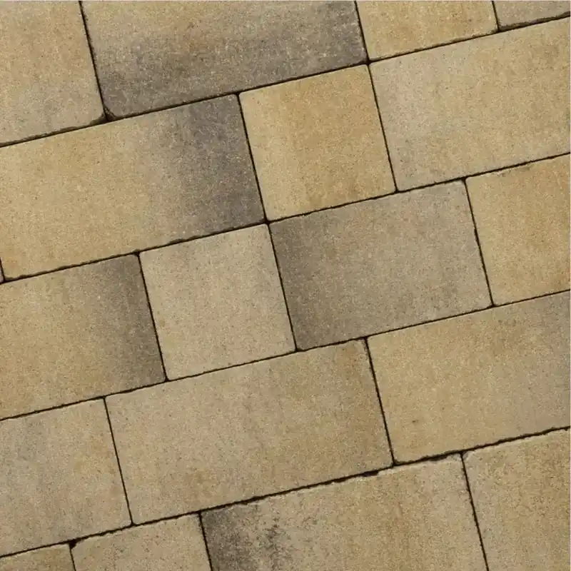 Recto Antique Klein Wildverband 6 cm Sierra Madre Gecertificeerd