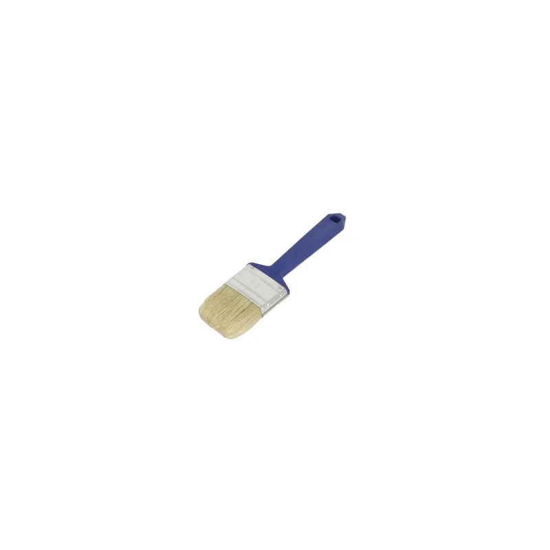 Wegwerpkwast Plat 20mm (€ 1.38) Lage Prijs