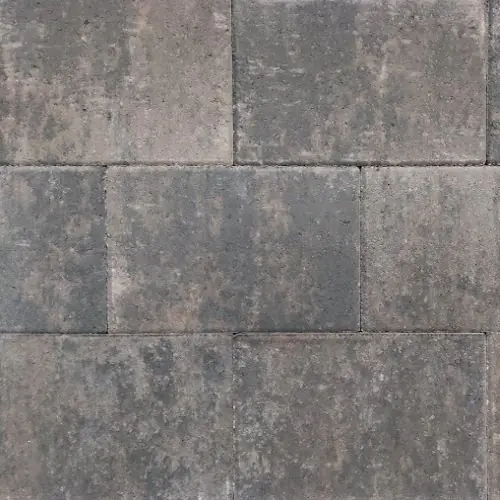 Straksteen 20x30x5 cm oud drachten Direct Verzonden