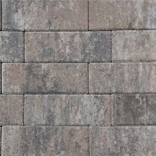 Longstone opritsteen 31,5x10,5x7 cm oud drachten Dagaanbieding