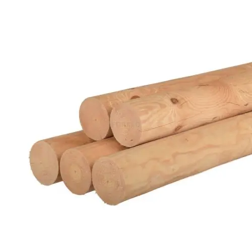 Laatste Versie Ronde paal vuren gefreesd Ø10x600 cm haaks