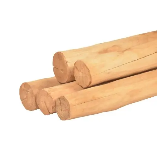 Ronde paal robinia spintvrij geschuurd Ø10-14x500 cm Koop Vandaag