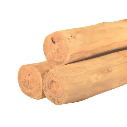Ronde paal robinia spintvrij geschuurd Ø20-24x250 cm Bestseller