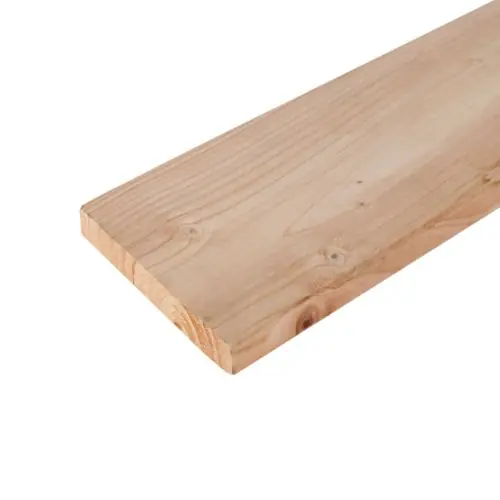 Superprijs Tuinplank douglas geschaafd 1,6x14x400 cm 103076