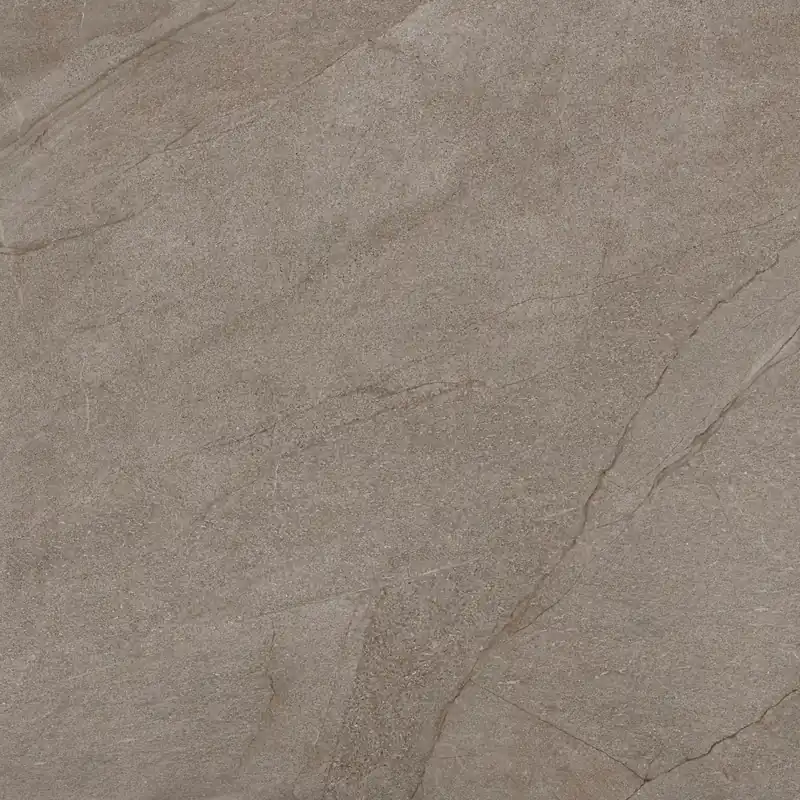 Alleen Vandaag Vloertegel/Wandtegel Douglas Halley Mud Leisteen Mat 120x120