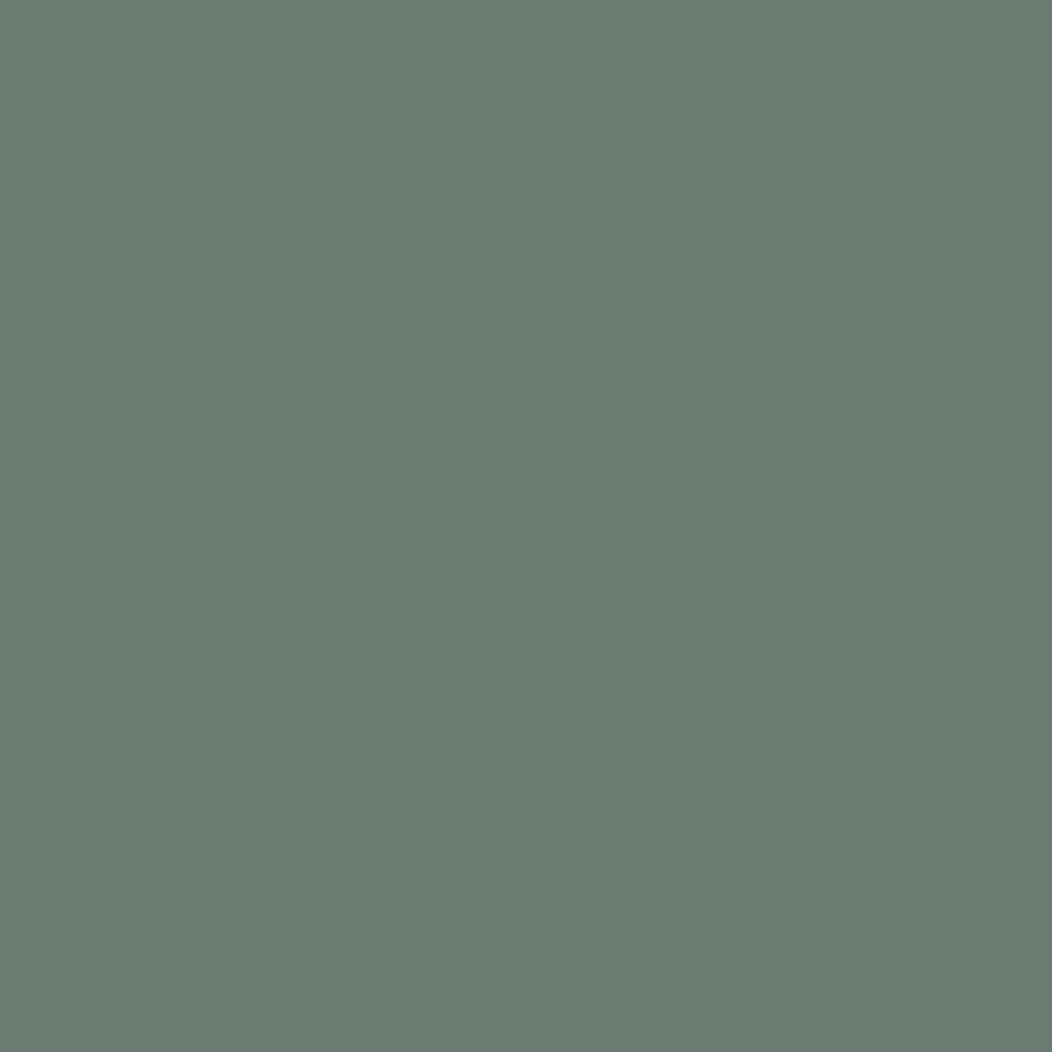 Histor Perfect Finish - Dried Holly Hete Deal