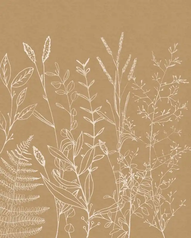 Komar Le Jardin Fotobehang Herbs Garden - LJX4-021 Shop Nu