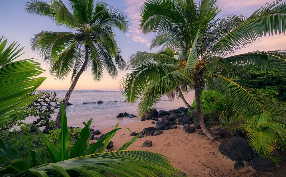 Direct Beschikbaar Komar Stefan Hefele; Komar Wanderlust Fotobehang Hawaiian Dreams - SHX9-116