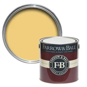 Alleen Vandaag Farrow & Ball Citron No. 74